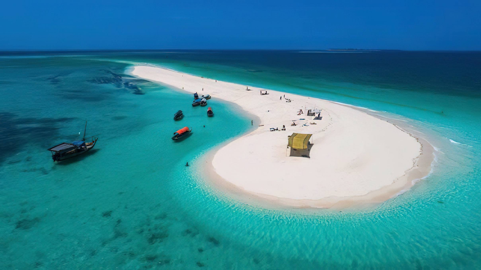 Scenic Sea Safari