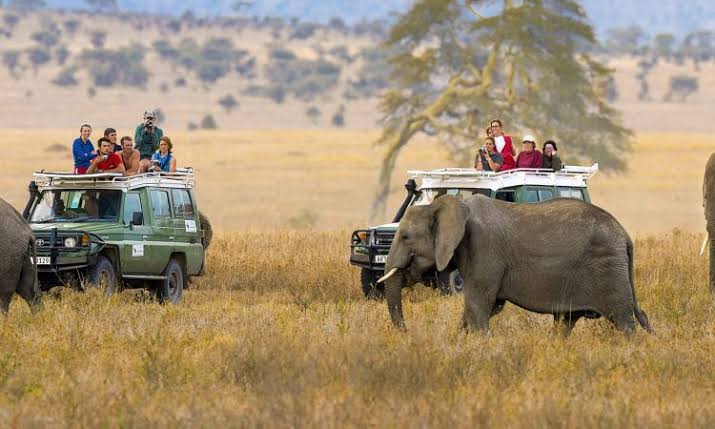 Grand Journey