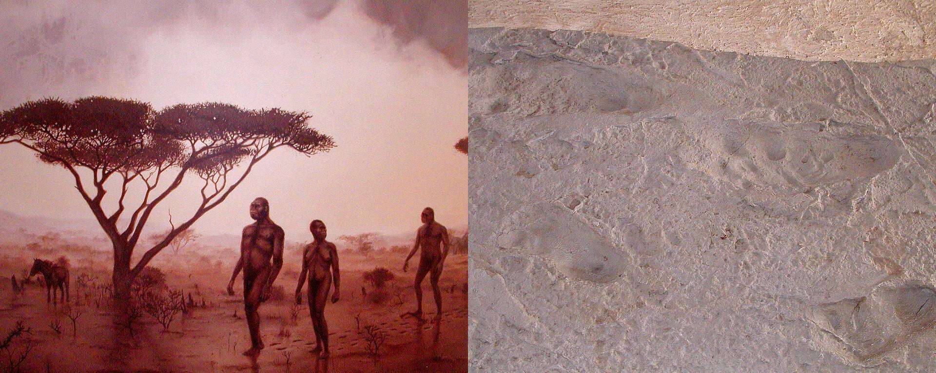 Laetoli Footprints