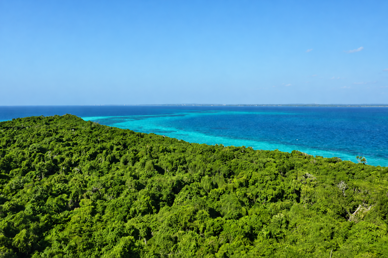 Coastal Forests