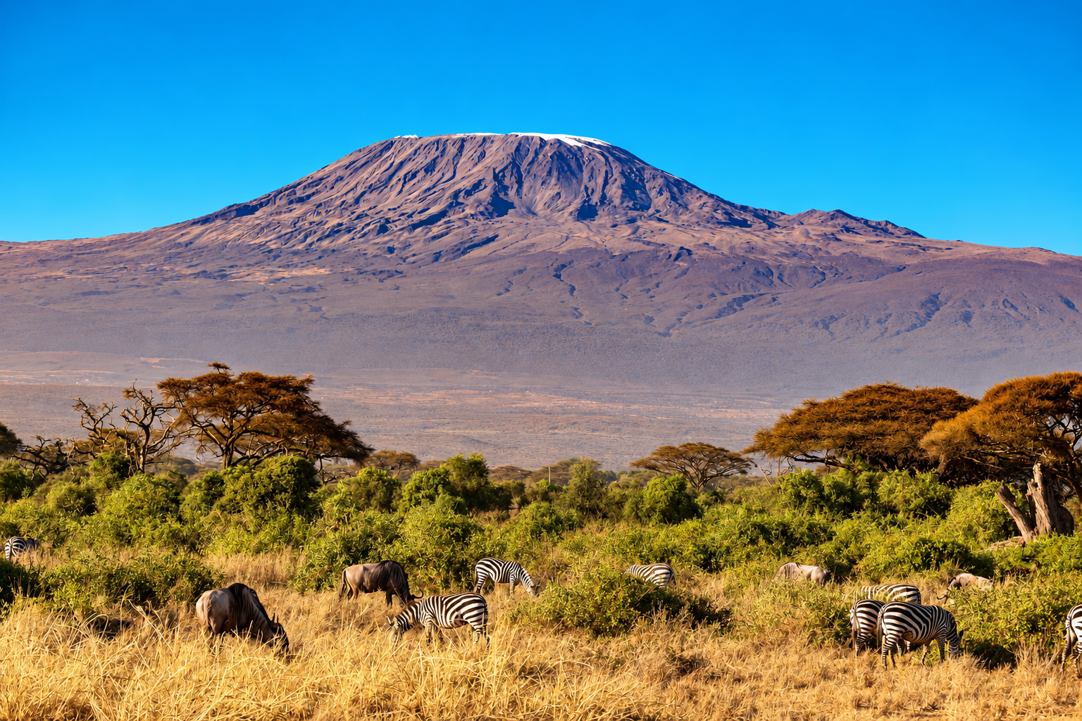 Kilimanjaro National Park