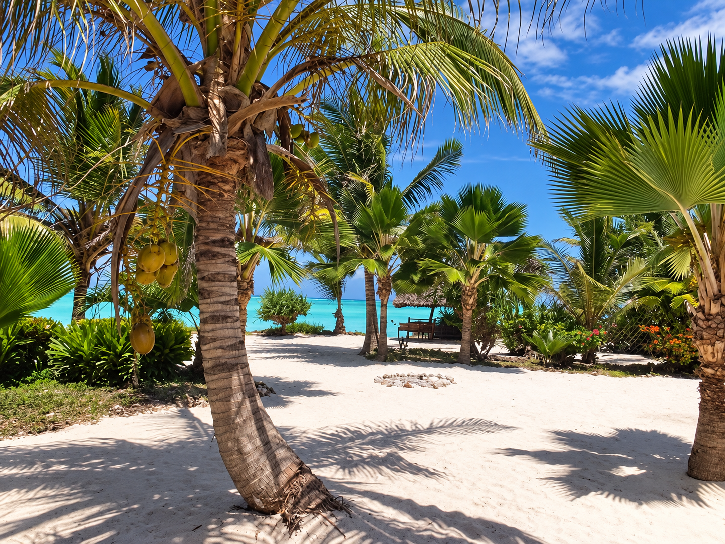 Beach & Littoral Forests