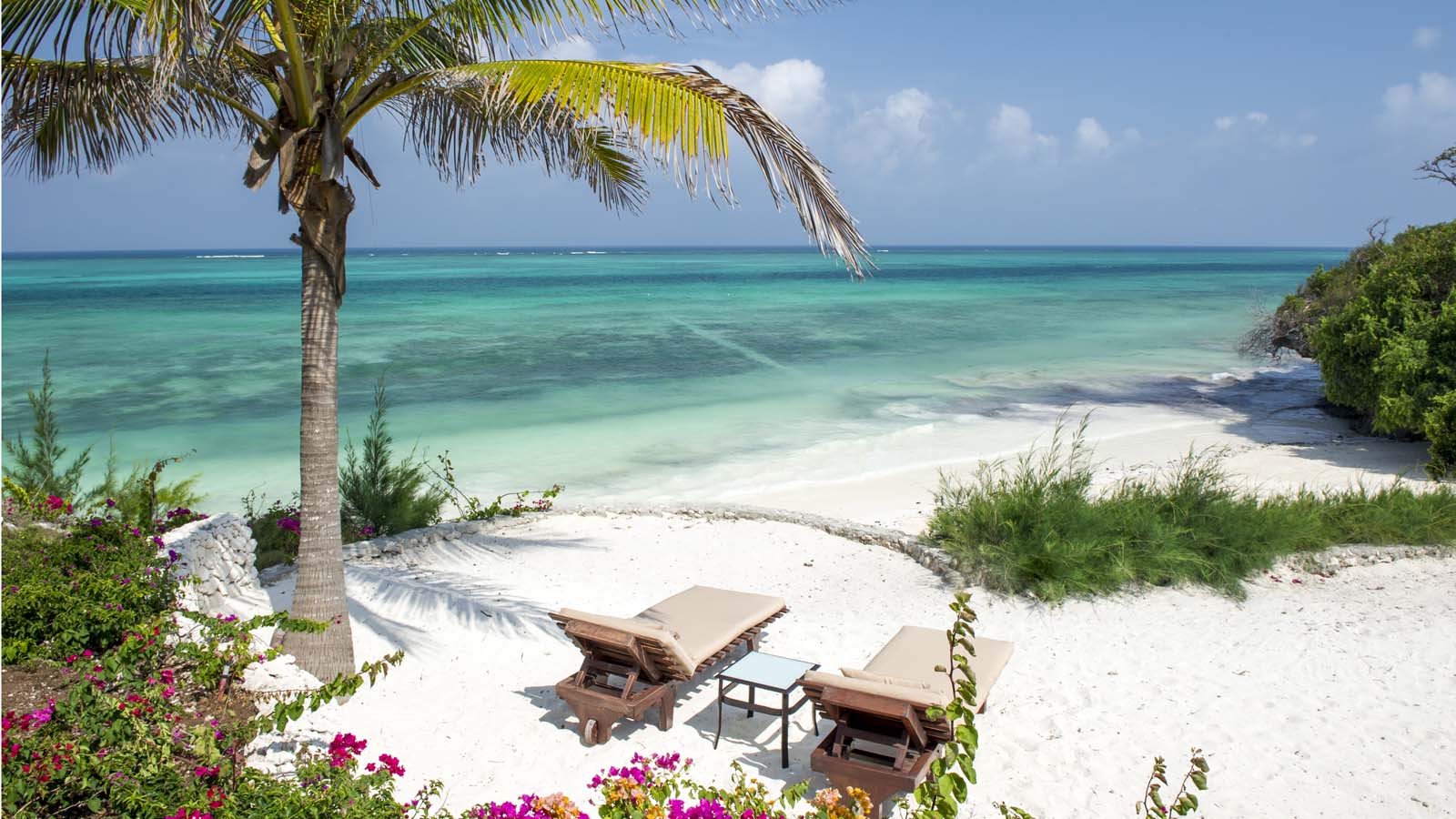 Zanzibar Island Odyssey